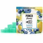 Blueberry Lemonade Gummies