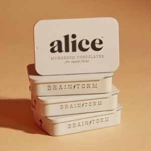 Alice Mushrooms – Brainstorm Chocolate For Sharp Focus